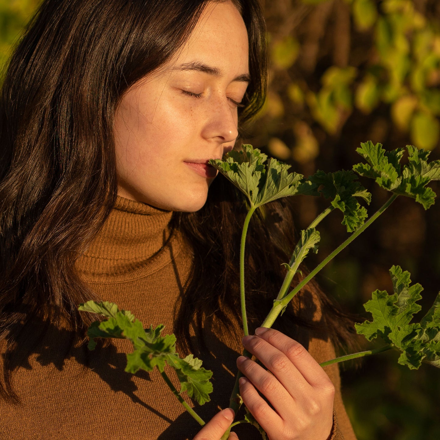 ROSENGERANIEN HYDROLAT - BIO