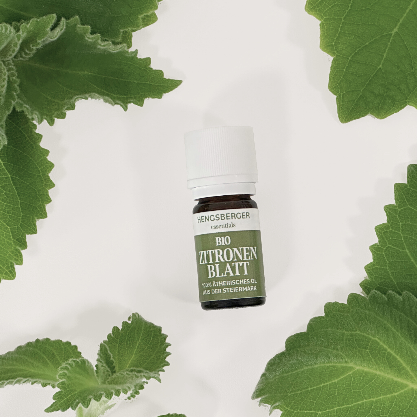 Zitronenblatt Öl Hengsberger Essentials
